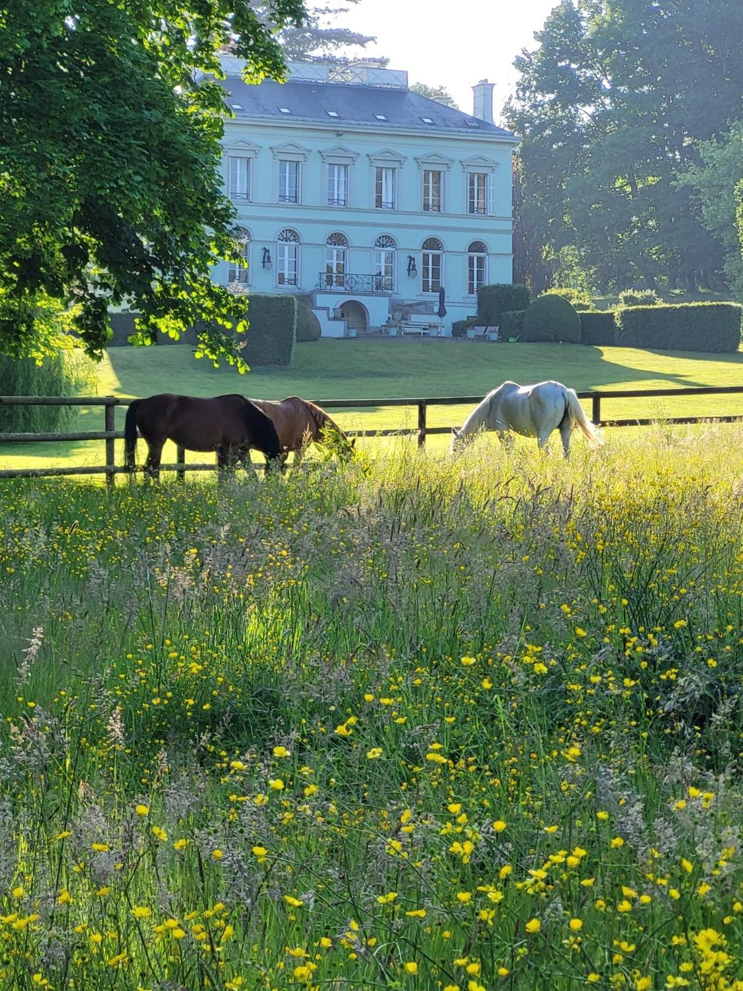 La Maison Du Cavalier, Chateau De Lavenue Pierrefitte-en-Auge Exteriér fotografie